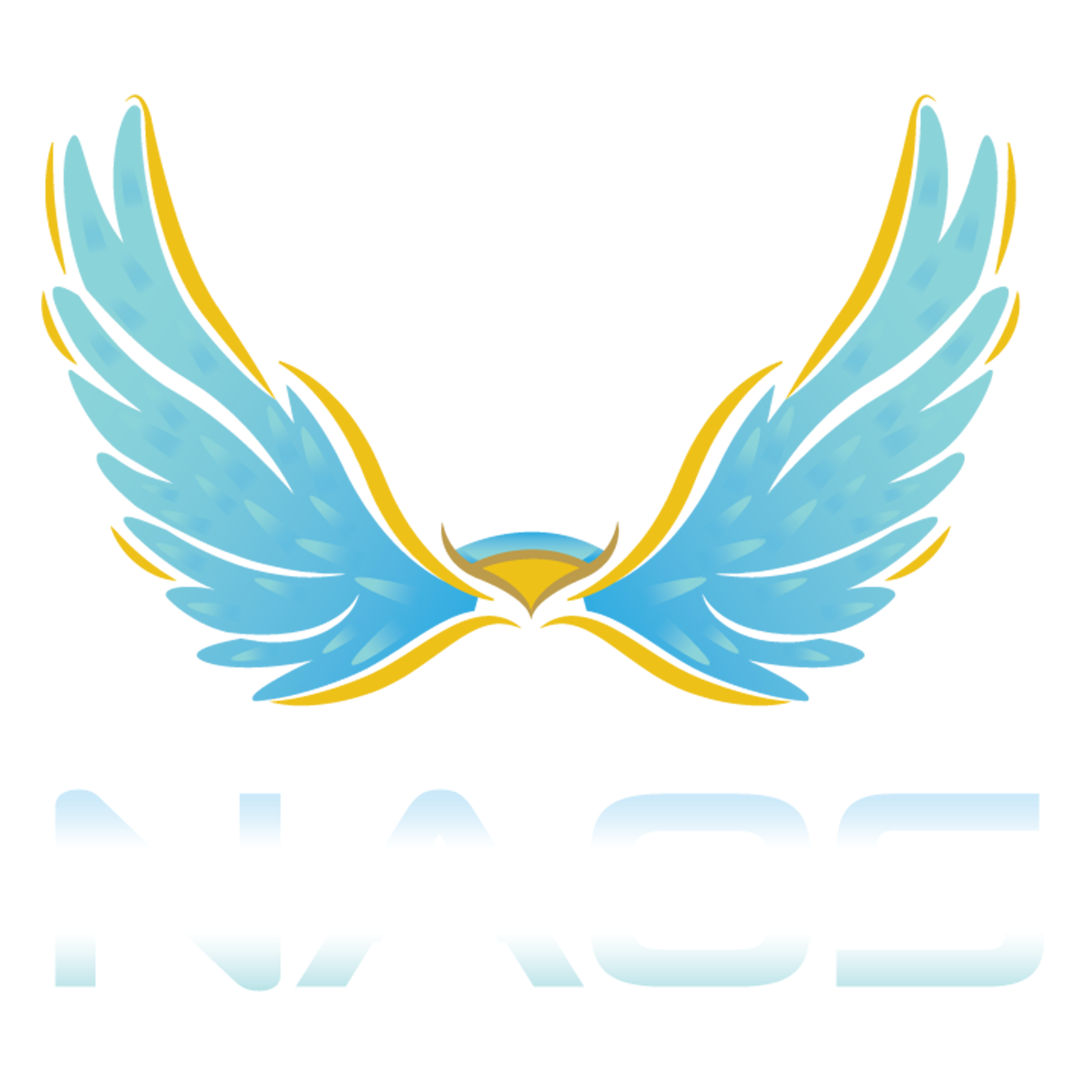 NAOS