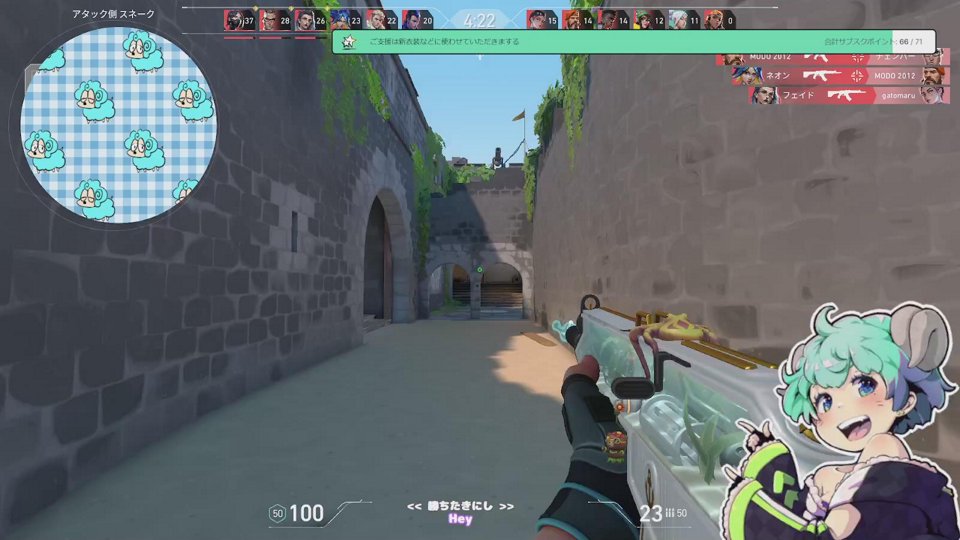 【アレスOTP】光のVALORANT（予定）