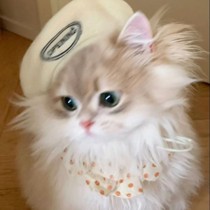 nyancakew